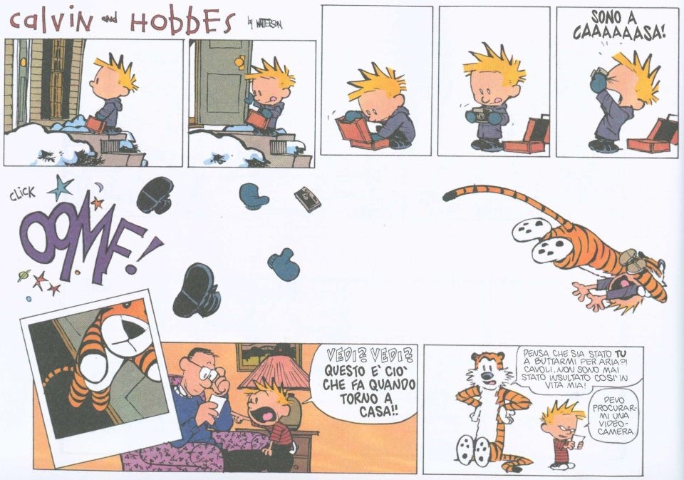 L'oggetto transizionale di Calvin si trasforma nel suo amico immaginario hobbes